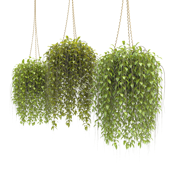 3D Hanging Basket Plants Collection 3D model image 4