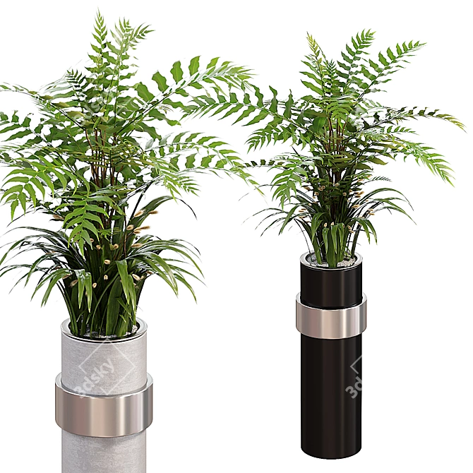 Botanically Inspired Indoor Fern Plants 3D model image 1