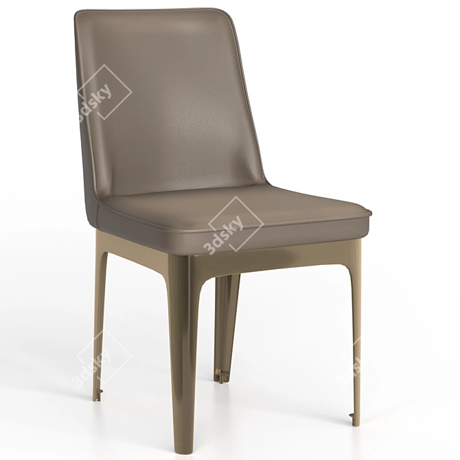 Elegant Dining Chair by Garda Decor 3D model image 2