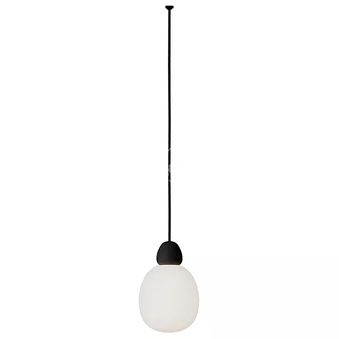 BELID Buddy Pendant Light Black 3D model image 3