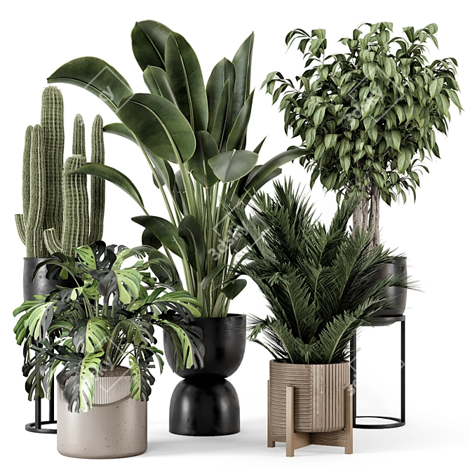 Modern Indoor Plants Set 1348 3D model image 1