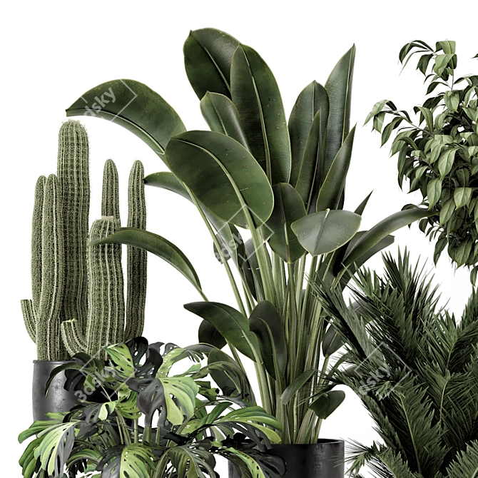 Modern Indoor Plants Set 1348 3D model image 2