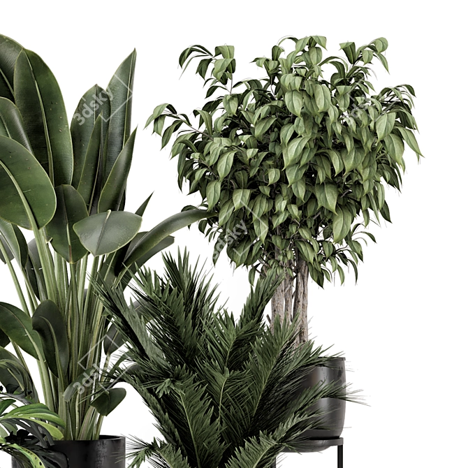 Modern Indoor Plants Set 1348 3D model image 3