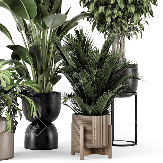 Modern Indoor Plants Set 1348 3D model image 4