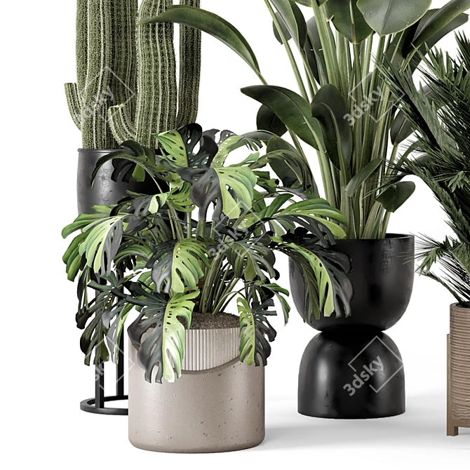 Modern Indoor Plants Set 1348 3D model image 5