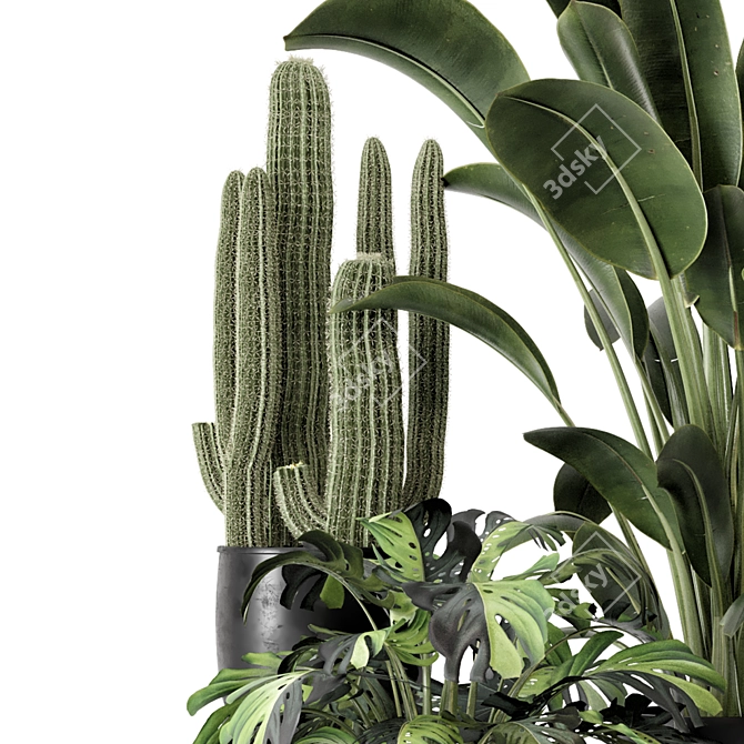 Modern Indoor Plants Set 1348 3D model image 6