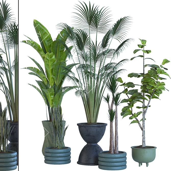 Resizable Indoor/Outdoor Plant Collection 3D model image 1