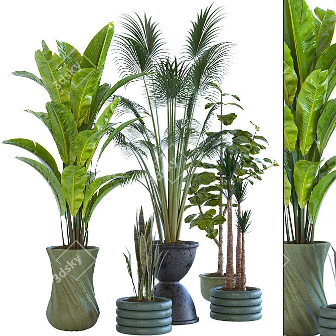 Resizable Indoor/Outdoor Plant Collection 3D model image 2