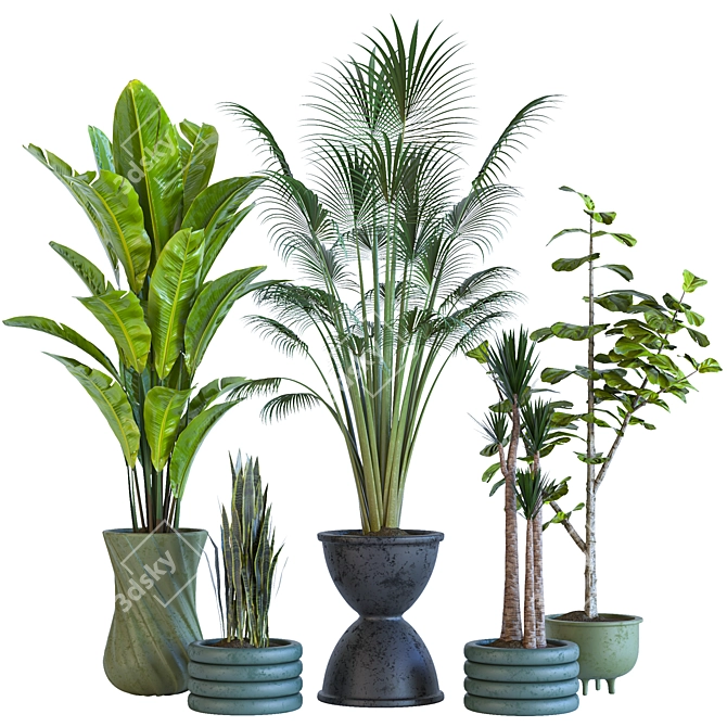 Resizable Indoor/Outdoor Plant Collection 3D model image 3