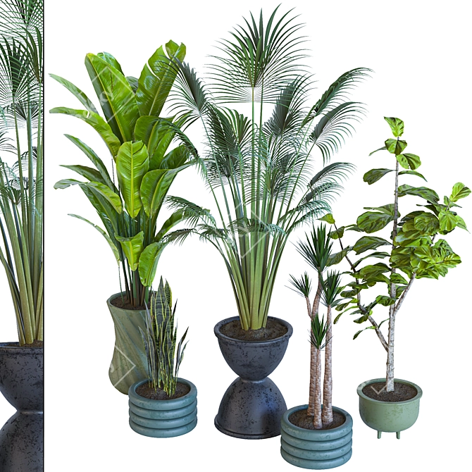 Resizable Indoor/Outdoor Plant Collection 3D model image 4