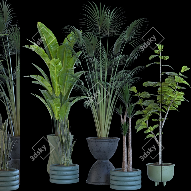 Resizable Indoor/Outdoor Plant Collection 3D model image 5