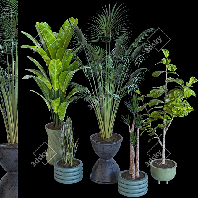 Resizable Indoor/Outdoor Plant Collection 3D model image 6