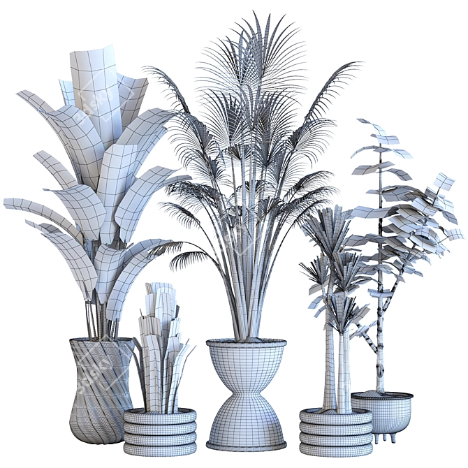 Resizable Indoor/Outdoor Plant Collection 3D model image 7