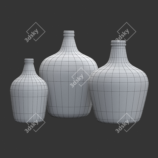 Eco-Friendly Frosted Glass Demijohn Vase 3D model image 5