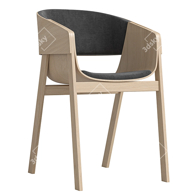Modern Merano Armchair by TON 3D model image 2