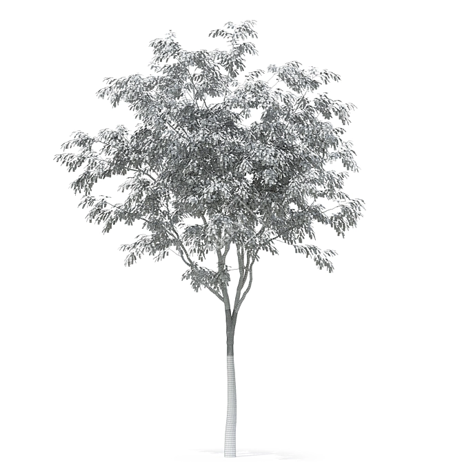 Forest Green 3D Tree Model 3D model image 4