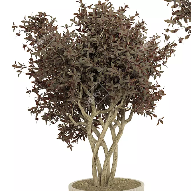 Exquisite Indoor Plant No.37 3D model image 3