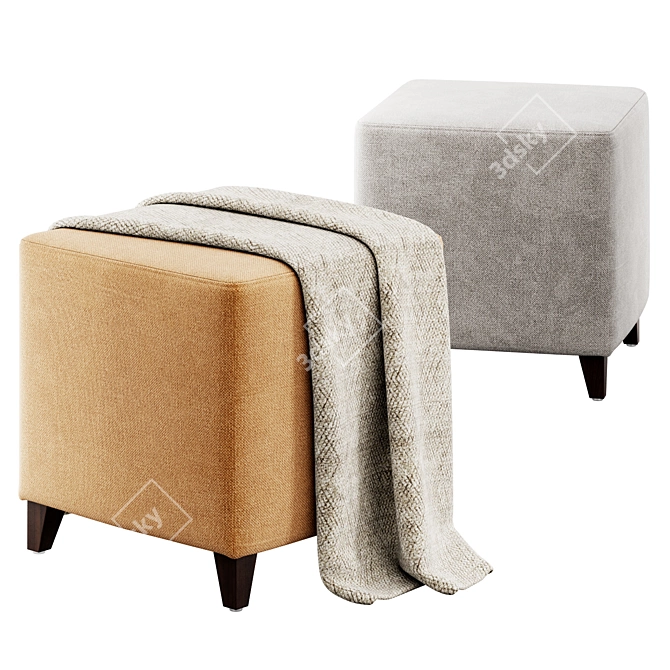 Rayne Upholstered Ottoman with Throw 3D model image 1