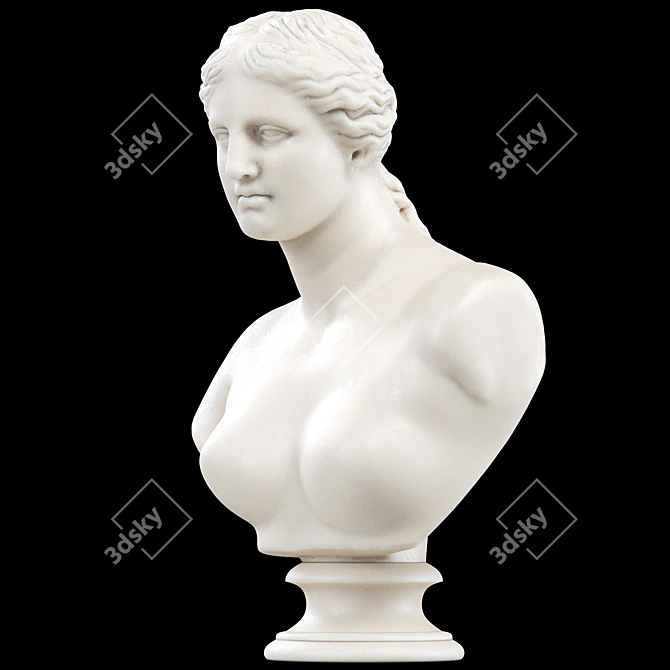 Venus De Milo Goddess Bust 3D model image 1