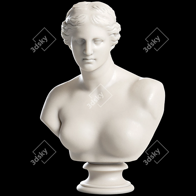 Venus De Milo Goddess Bust 3D model image 2