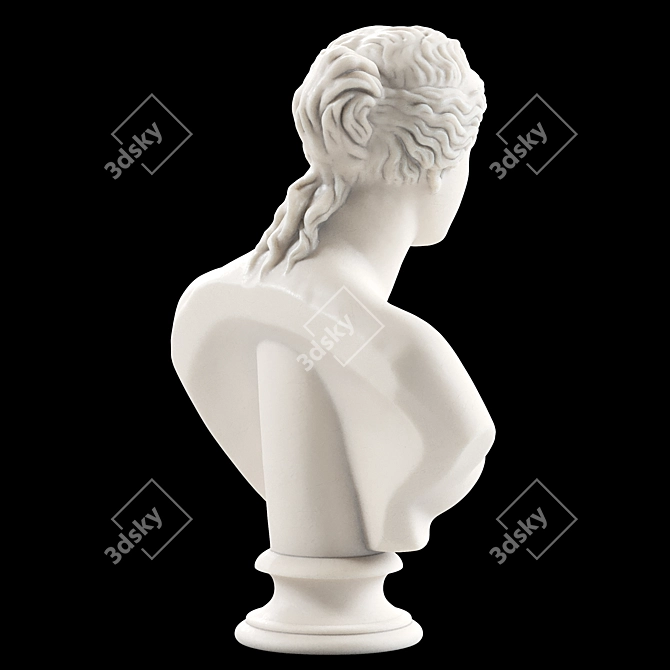 Venus De Milo Goddess Bust 3D model image 4