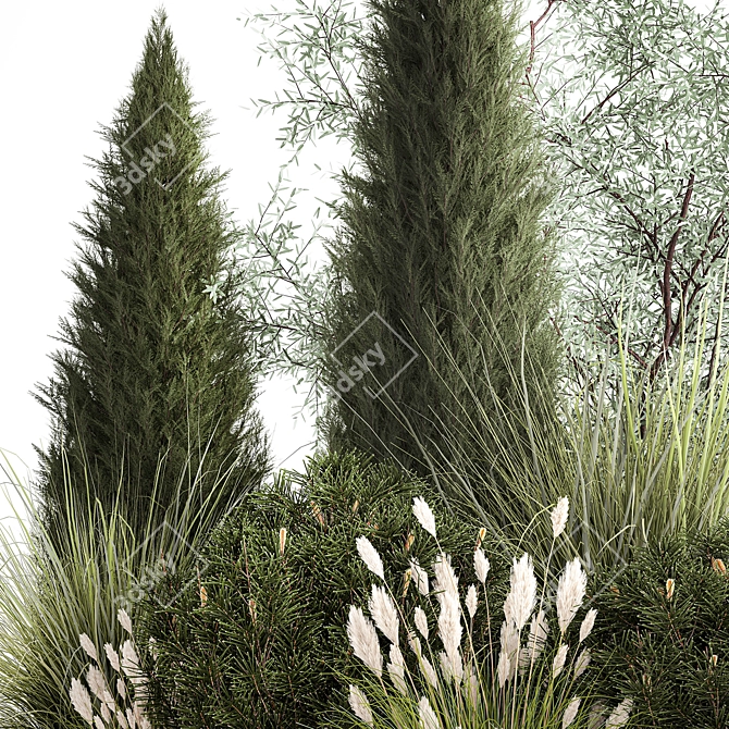 Evergreen Ornamental Plant Collection 3D model image 2