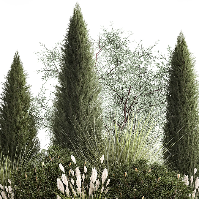 Evergreen Ornamental Plant Collection 3D model image 4