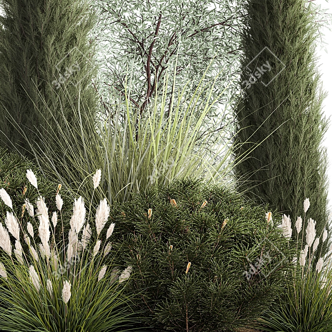 Evergreen Ornamental Plant Collection 3D model image 5