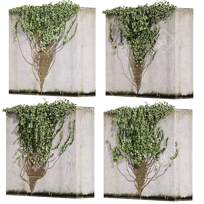 Premium Ivy Outdoor Plant Model 3D model image 1