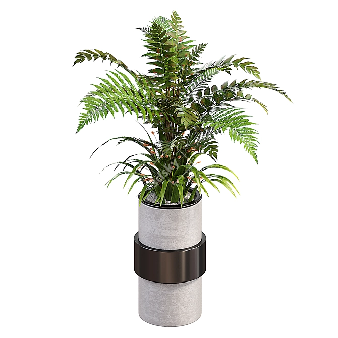 Fern Indoor Plants 3D Model 3D model image 2