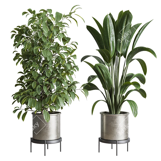 Multifarious Indoor Plant Set 3D model image 6