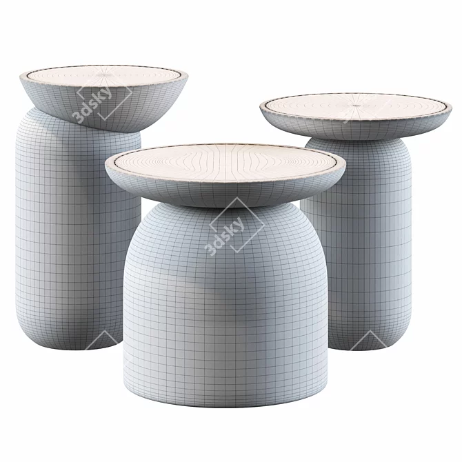 Rustic Charm Mezcalito Set 3D model image 2