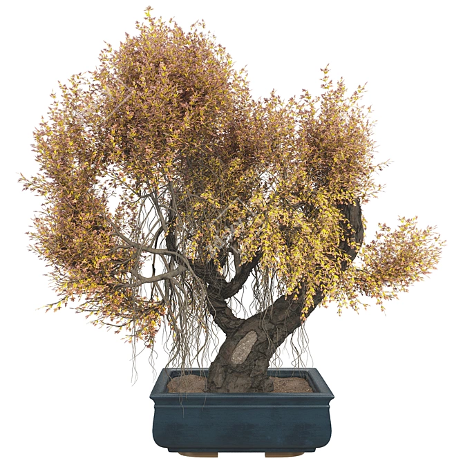 Elegant Bonsai Tree 100cm 3D model image 2