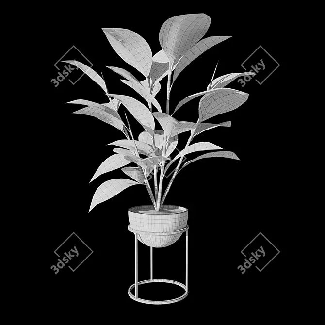 Rubber Ficus Plantacle 3D model image 3