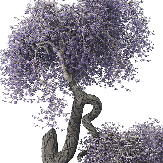 Bonsai Tree 3D Model Collection 3D model image 3