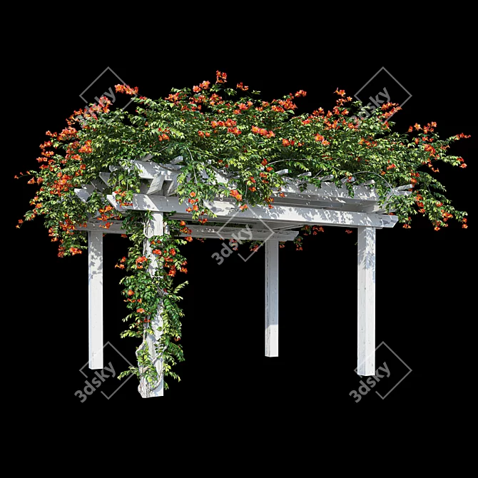 Garden Pergola with Campsis 3D model image 2