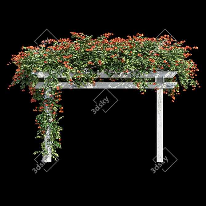 Garden Pergola with Campsis 3D model image 3