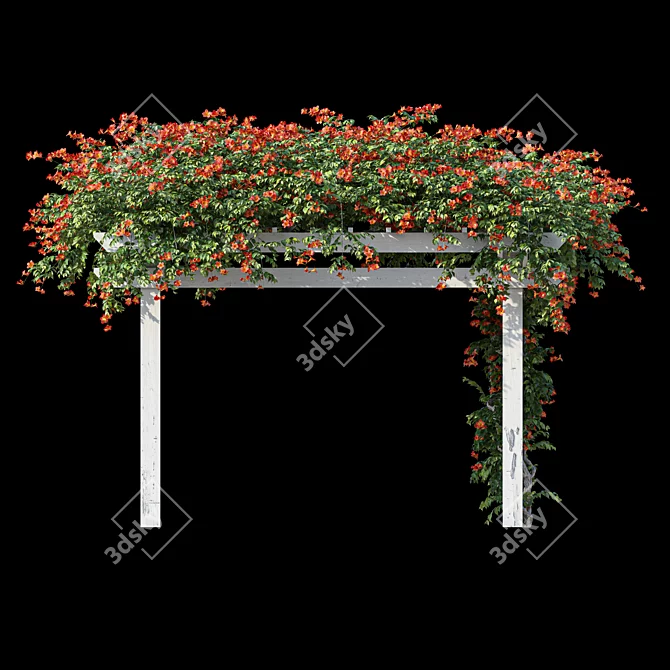 Garden Pergola with Campsis 3D model image 4