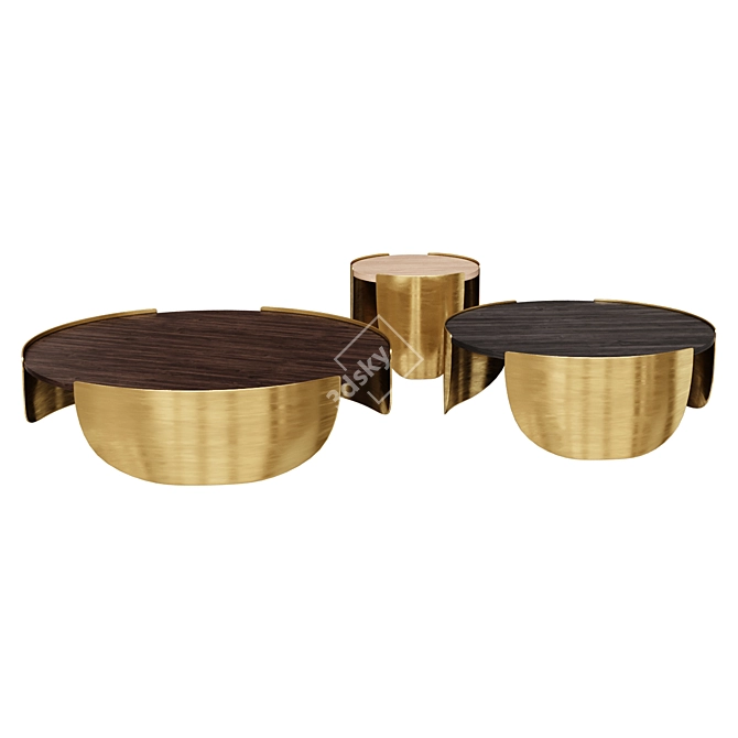 Elegant Atenae Coffee Tables 3D model image 1