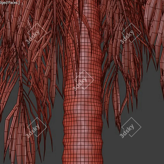 Tropical Tree Set 3D Models 3D model image 4