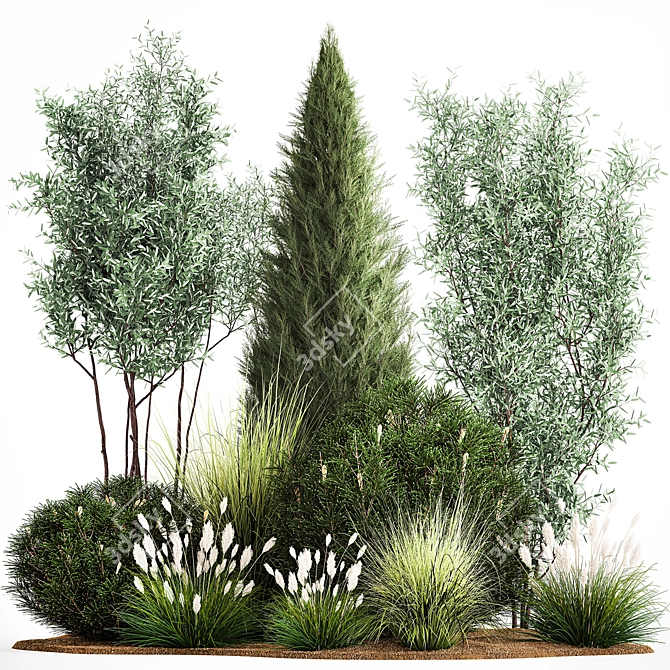 Evergreen Landscape Plant Collection 3D model image 1