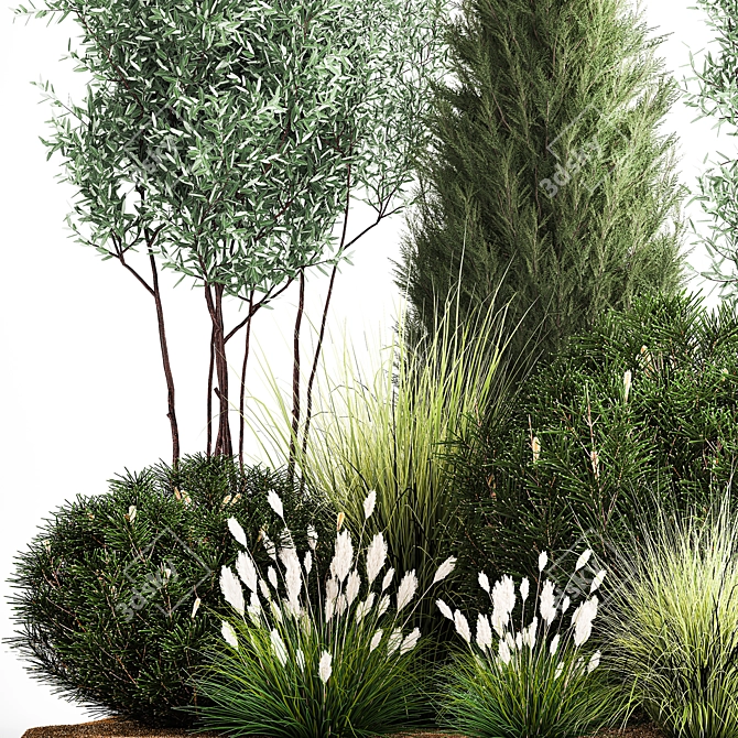 Evergreen Landscape Plant Collection 3D model image 2