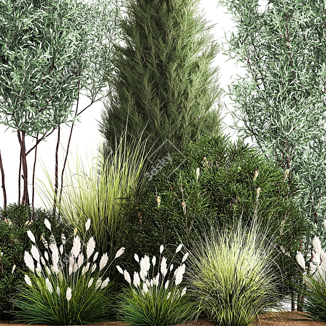 Evergreen Landscape Plant Collection 3D model image 3