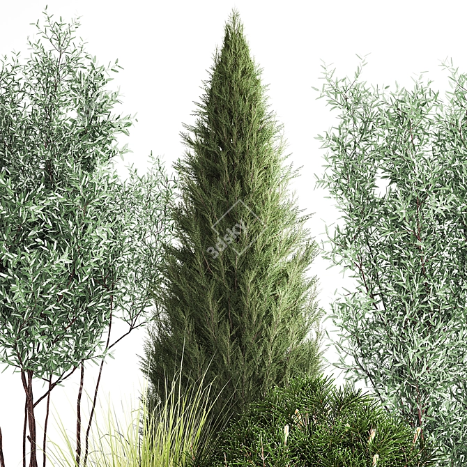 Evergreen Landscape Plant Collection 3D model image 4