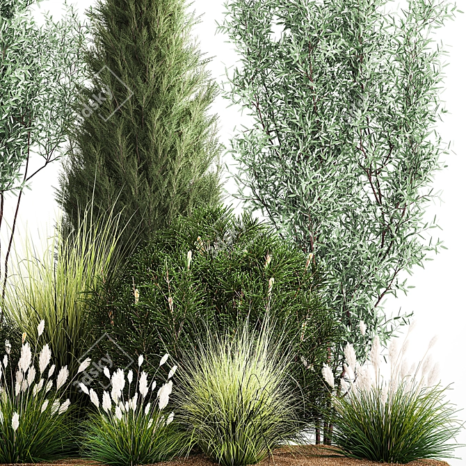 Evergreen Landscape Plant Collection 3D model image 6