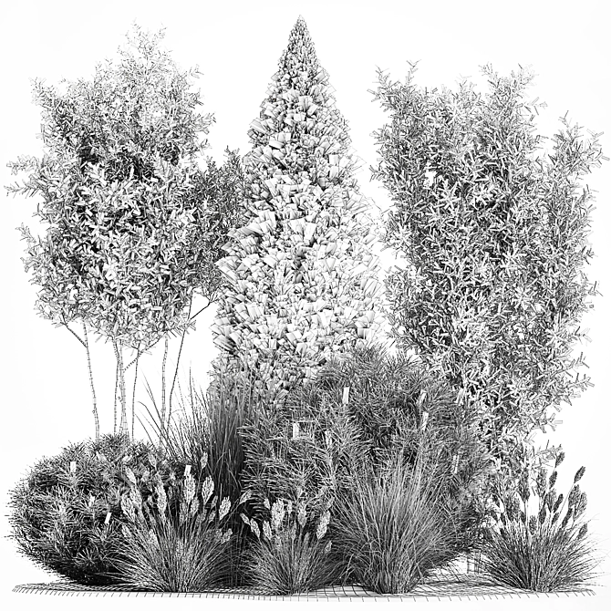 Evergreen Landscape Plant Collection 3D model image 7