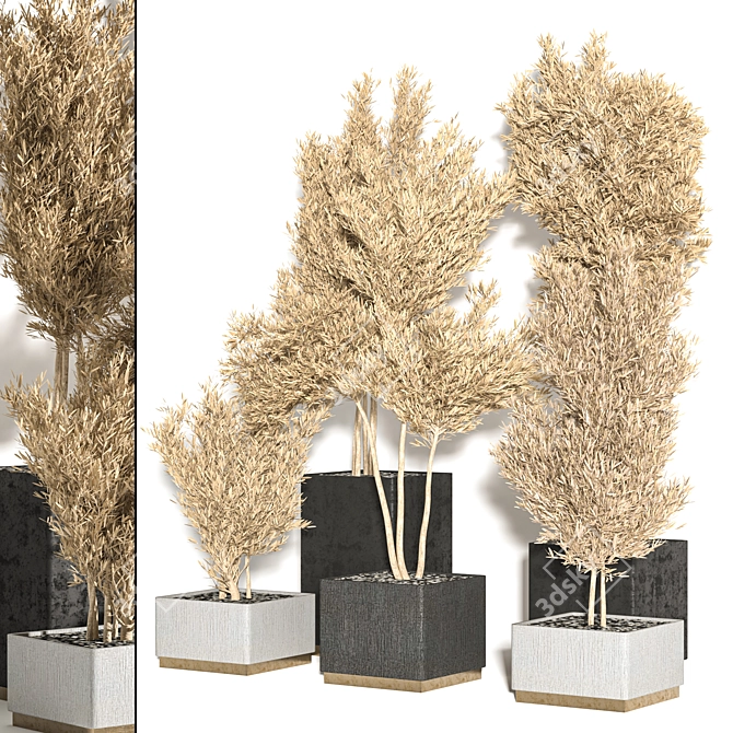 Versatile Resizable Indoor/Outdoor Plants 3D model image 1