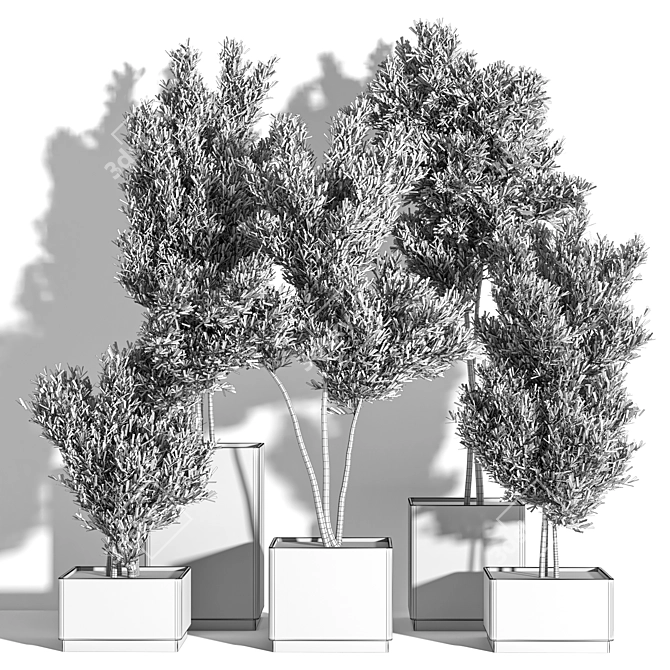 Versatile Resizable Indoor/Outdoor Plants 3D model image 7