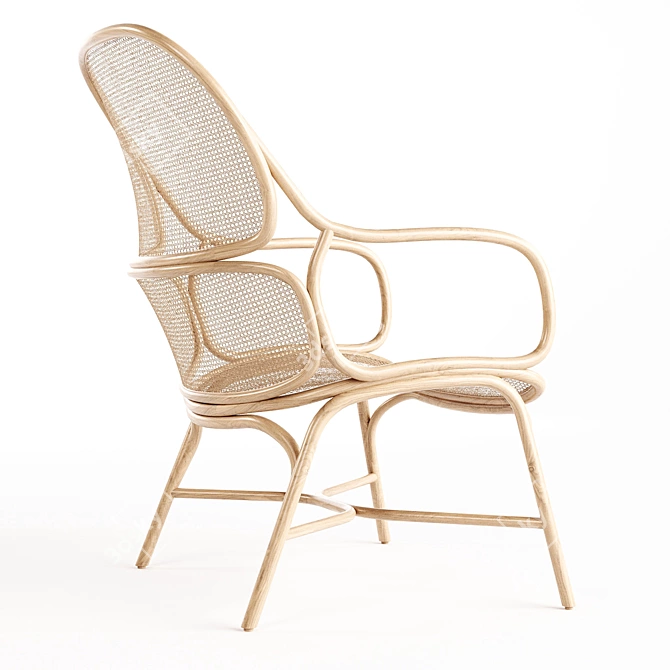 Designer Rattan Armchair 3D Model 3D model image 4