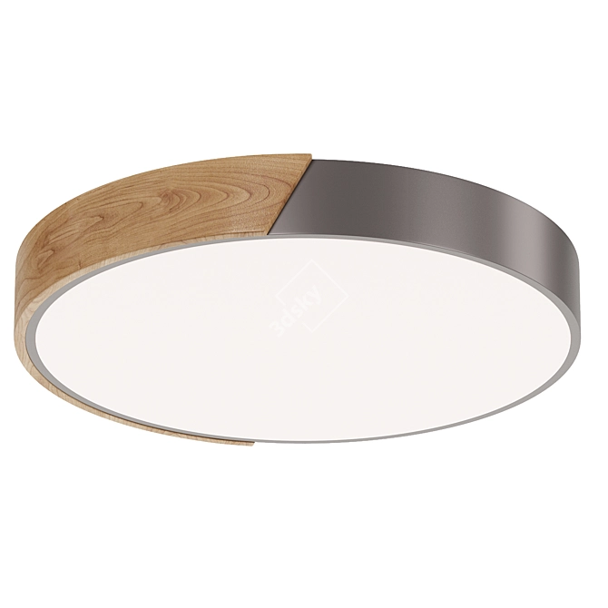 Contemporary LED Ceiling Light Fixture 3D model image 3